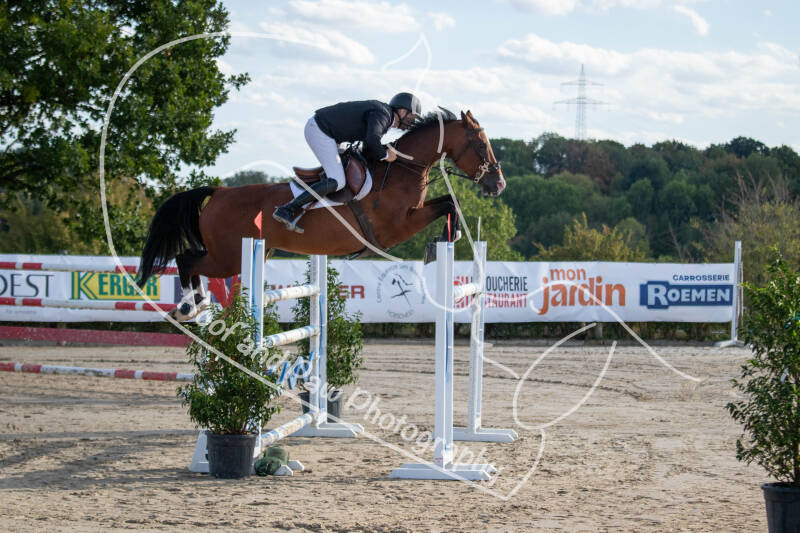 bouferterhaff-jumping-3-standard-88eyei.jpg