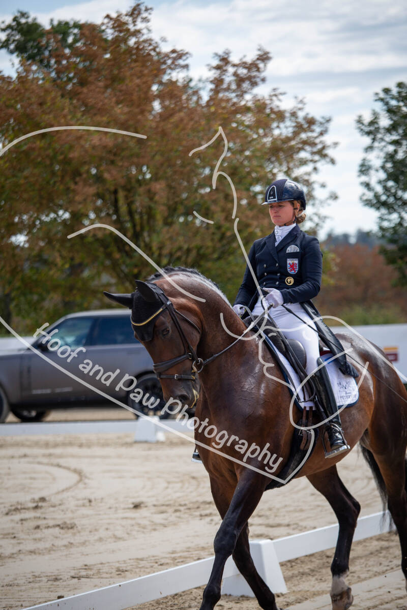 bouferterhaff-jumping-3-standard-8qkwac.jpg