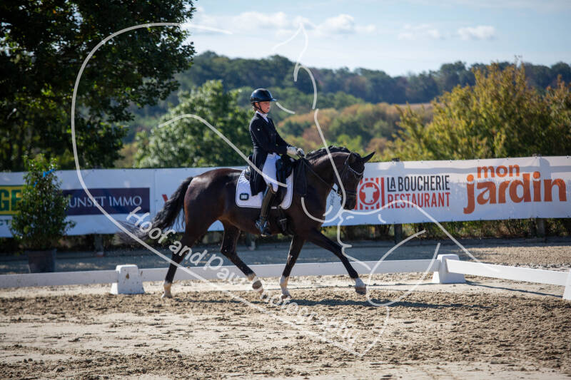 bouferterhaff-jumping-3-standard-afytis.jpg