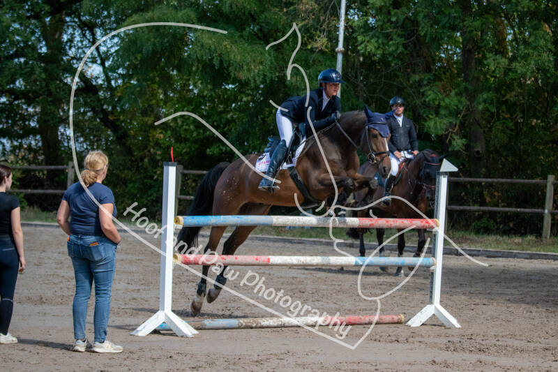bouferterhaff-jumping-3-standard-d85y5r.jpg