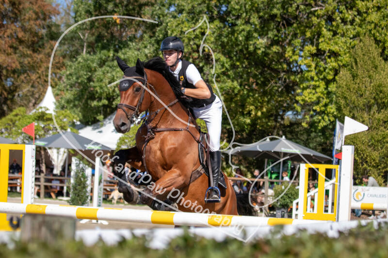 bouferterhaff-jumping-3-standard-dwpmxt.jpg
