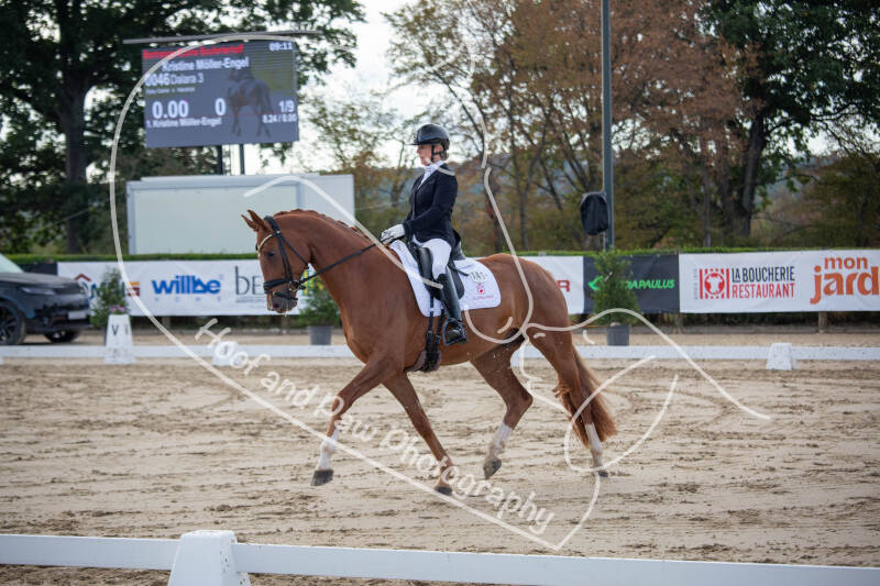 bouferterhaff-jumping-3-standard-j0bx0i.jpg