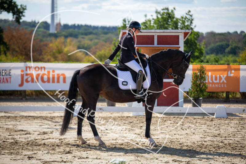 bouferterhaff-jumping-3-standard-lmsk2p.jpg