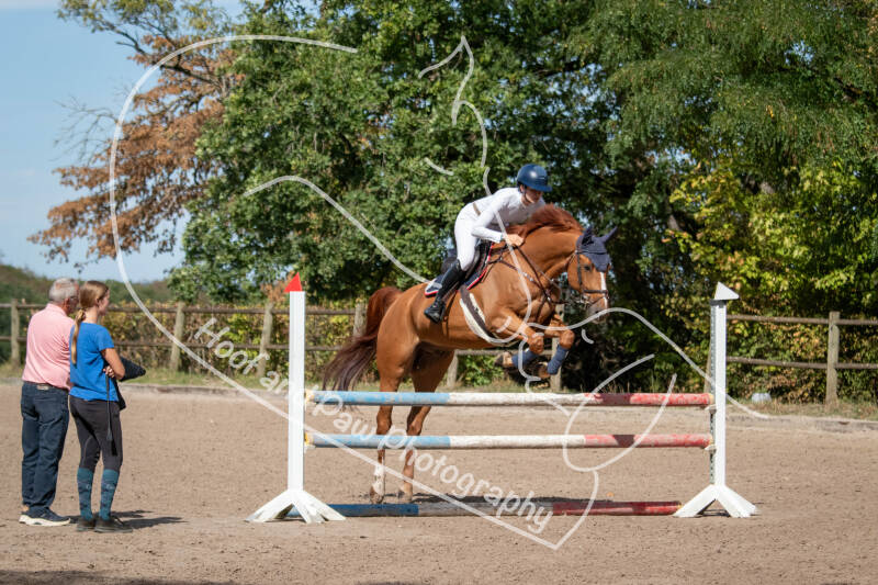 bouferterhaff-jumping-3-standard-sd3ij4.jpg