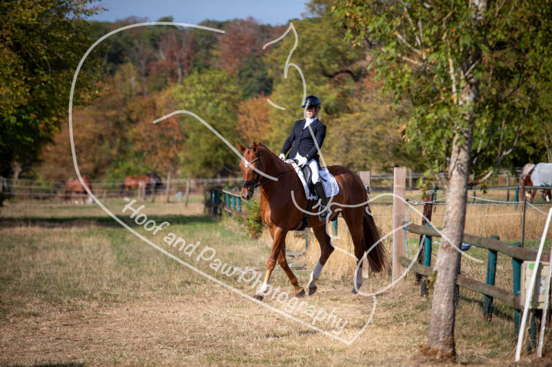bouferterhaff-jumping-3-standard-w2sxjn.jpg