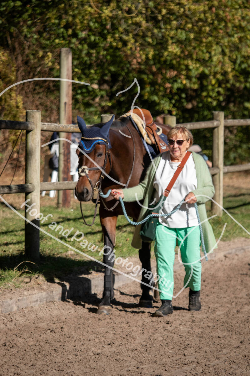 bouferterhaff-jumping-3-standard-zid7ui.jpg