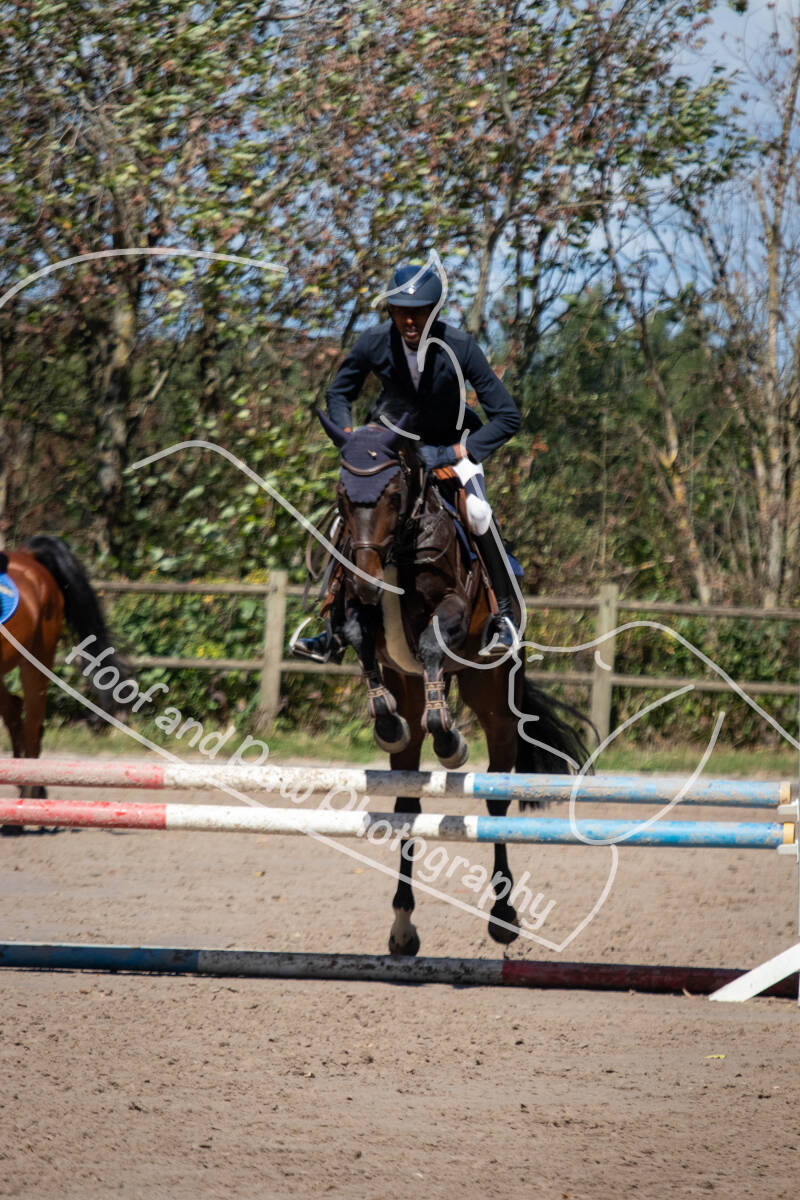 bouferterhaff-jumping-3-standard.jpg