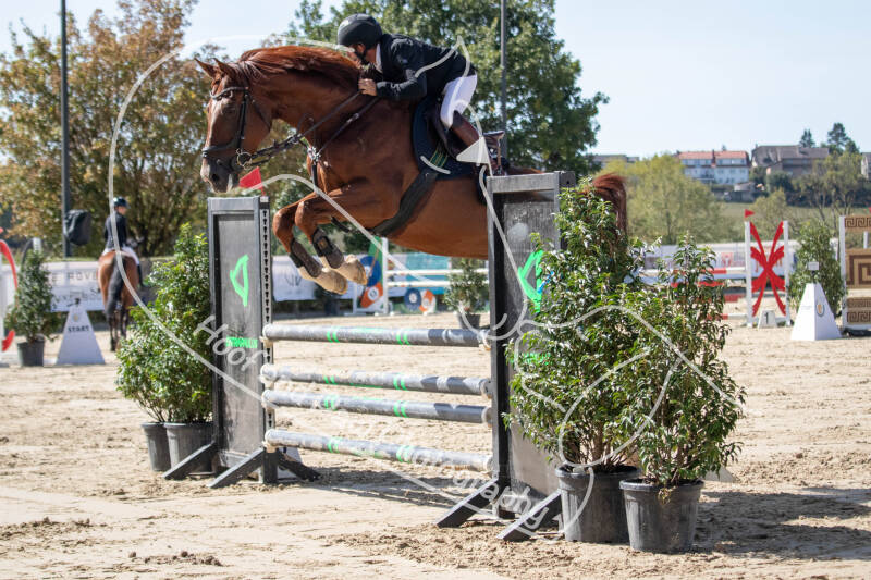 bouferterhaff-jumping-30-standard-3uhz1x.jpg