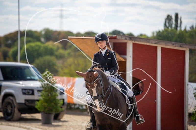 bouferterhaff-jumping-30-standard-7oqln3.jpg