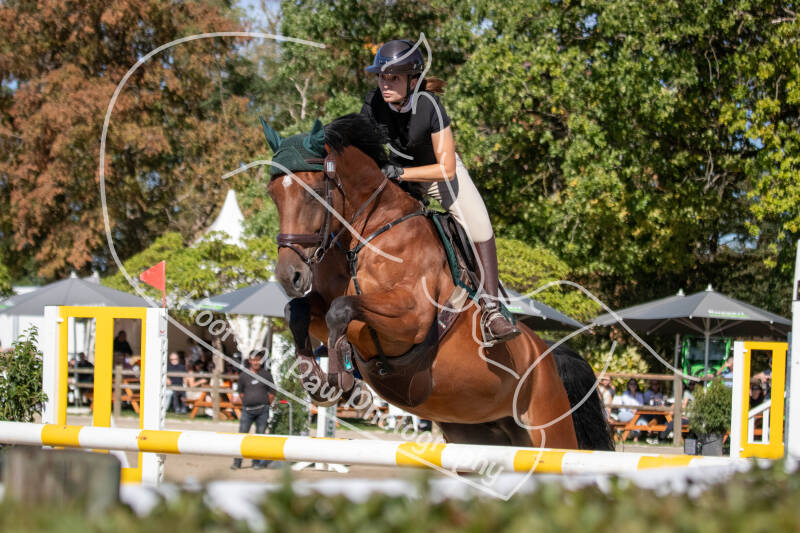 bouferterhaff-jumping-30-standard-i4a1wi.jpg
