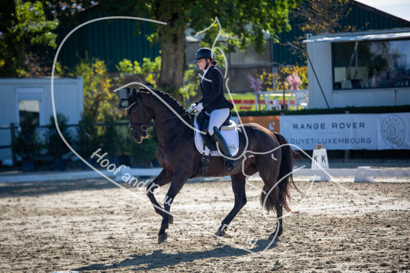 bouferterhaff-jumping-30-standard-kistwz.jpg