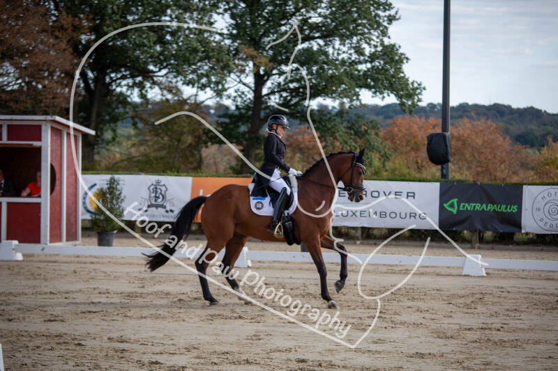 bouferterhaff-jumping-30-standard-v1pn1z.jpg