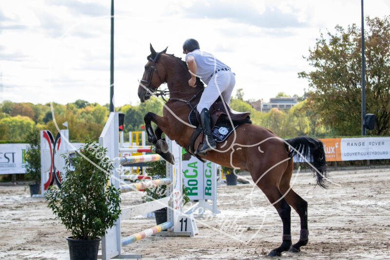 bouferterhaff-jumping-30-standard-xpr2a4.jpg