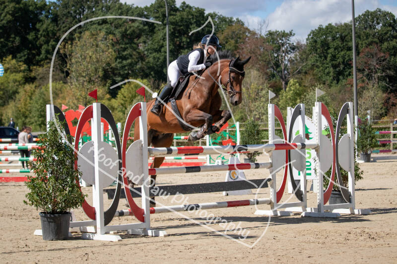 bouferterhaff-jumping-30-standard.jpg