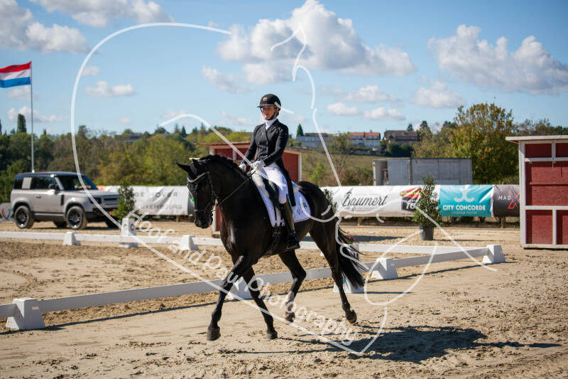 bouferterhaff-jumping-31-standard-fg71bg.jpg
