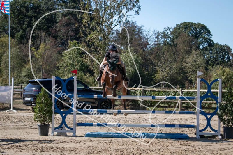 bouferterhaff-jumping-31-standard-hqi2rd.jpg