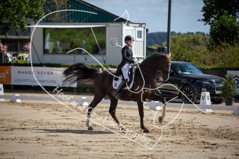 bouferterhaff-jumping-31-standard-hr82bn.jpg