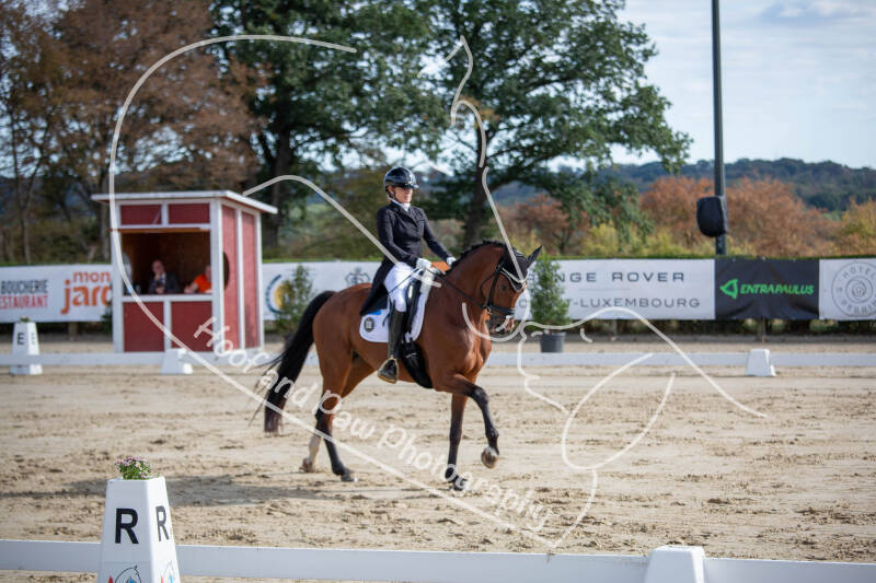 bouferterhaff-jumping-31-standard-i48icc.jpg