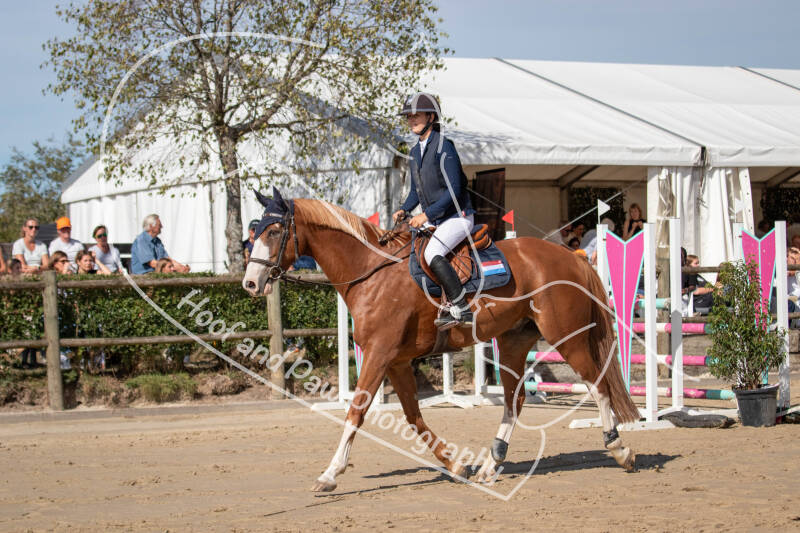 bouferterhaff-jumping-31-standard-ia58pg.jpg