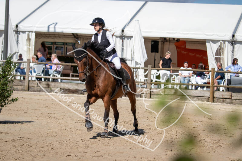 bouferterhaff-jumping-31-standard.jpg