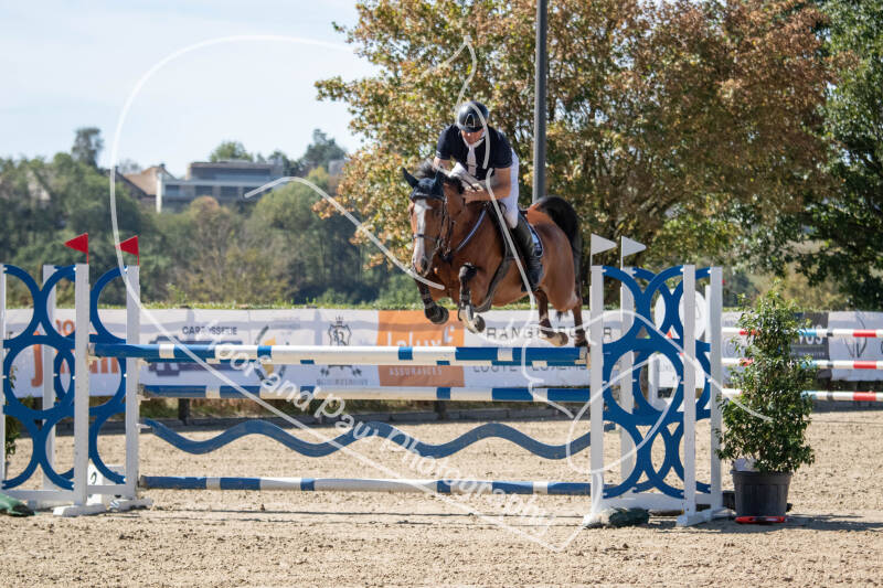 bouferterhaff-jumping-32-standard-1j96s1.jpg