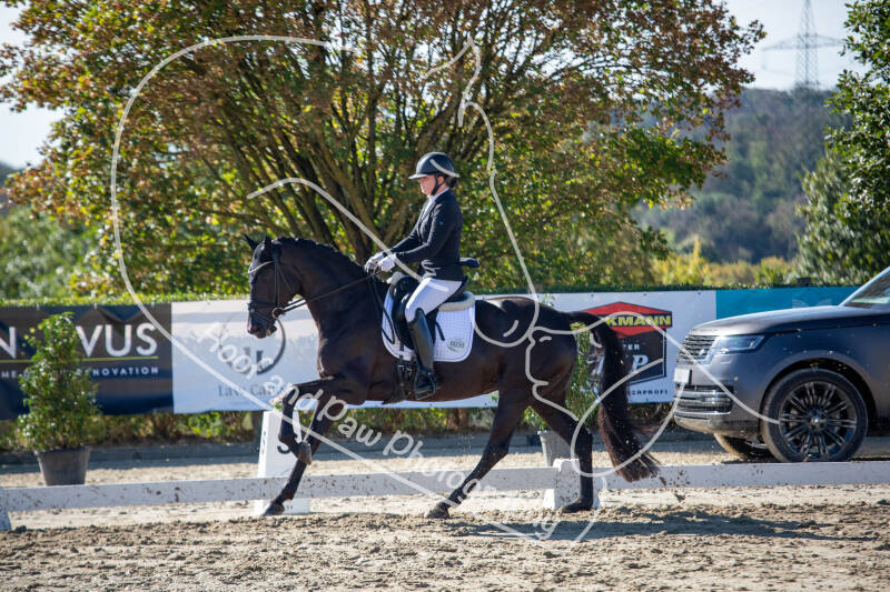 bouferterhaff-jumping-32-standard-1n58ly.jpg