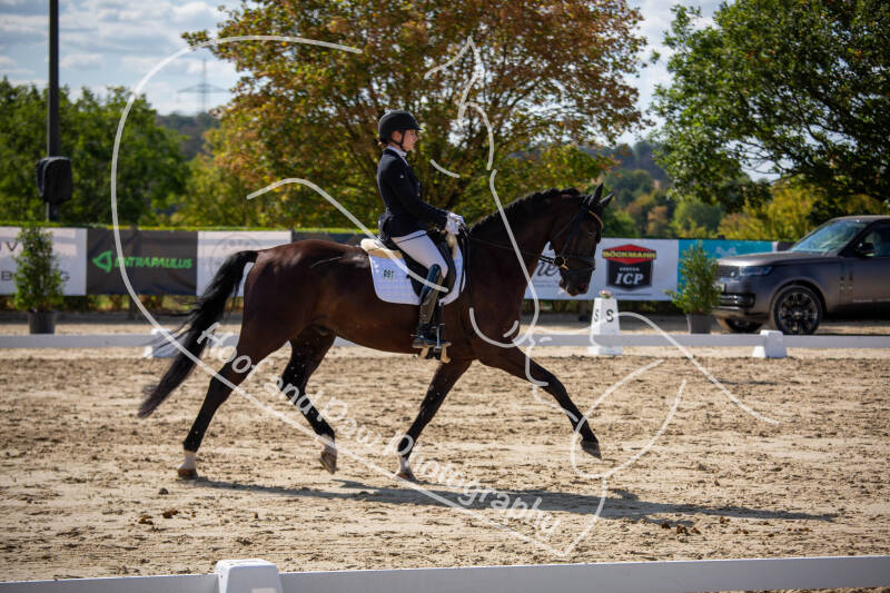 bouferterhaff-jumping-32-standard-1nsl0q.jpg