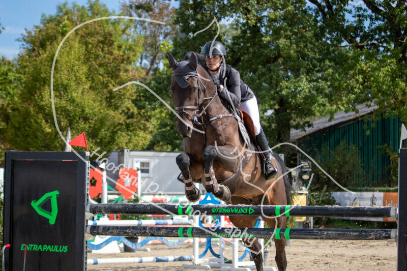 bouferterhaff-jumping-32-standard-51dx2k.jpg