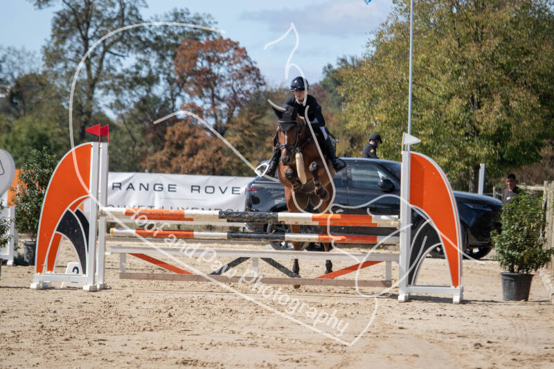 bouferterhaff-jumping-32-standard-7hdflp.jpg
