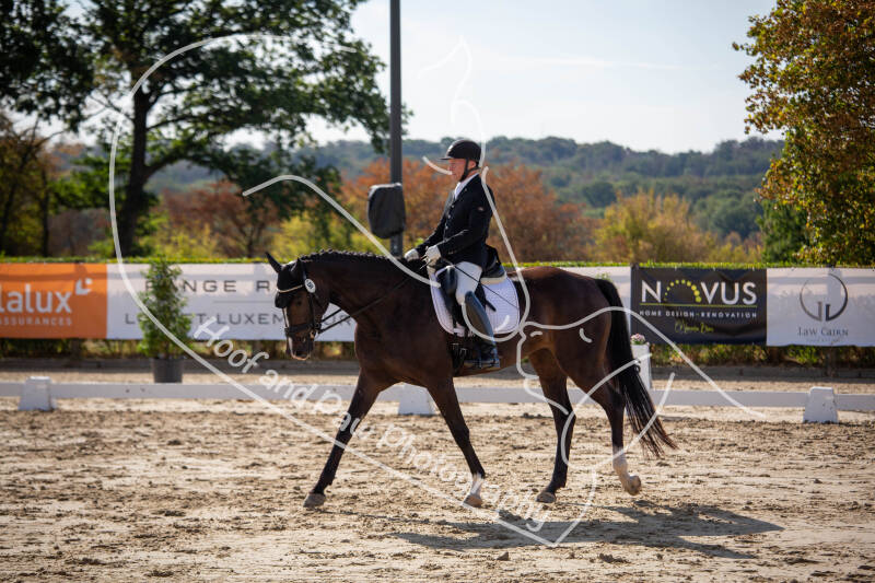bouferterhaff-jumping-32-standard-b95e7d.jpg