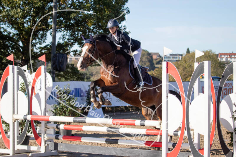 bouferterhaff-jumping-32-standard-c12mpz.jpg