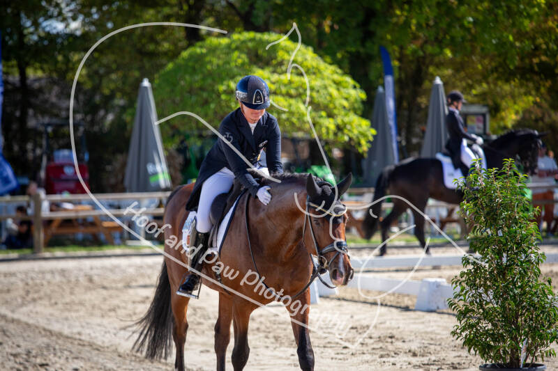 bouferterhaff-jumping-32-standard-jjd5bd.jpg