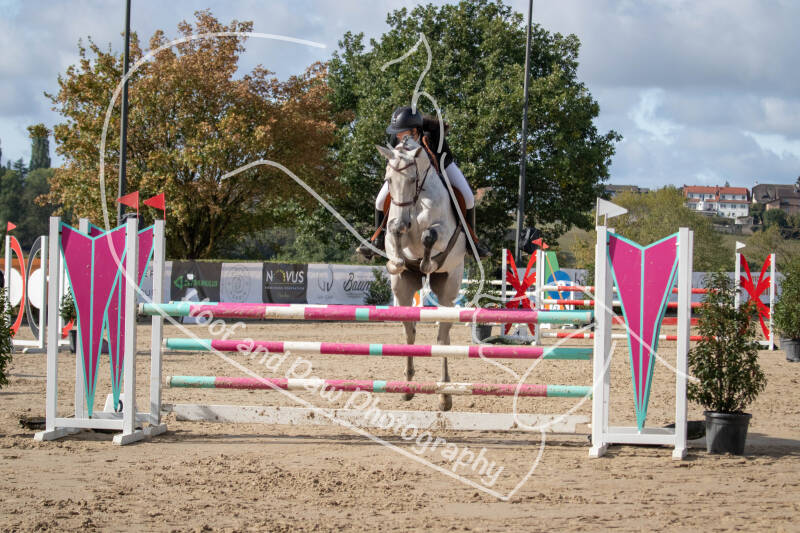 bouferterhaff-jumping-32-standard-p98he7.jpg
