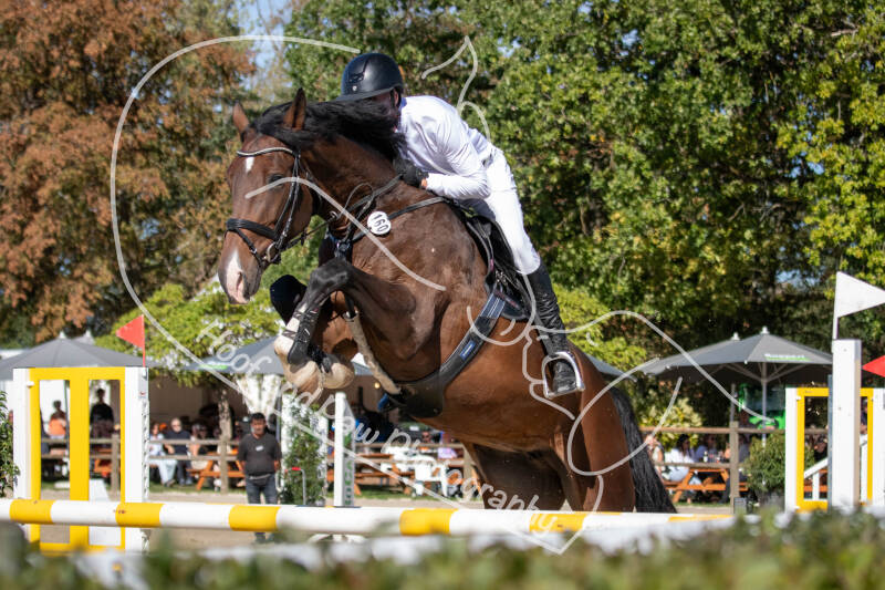 bouferterhaff-jumping-32-standard-zdvbdh.jpg