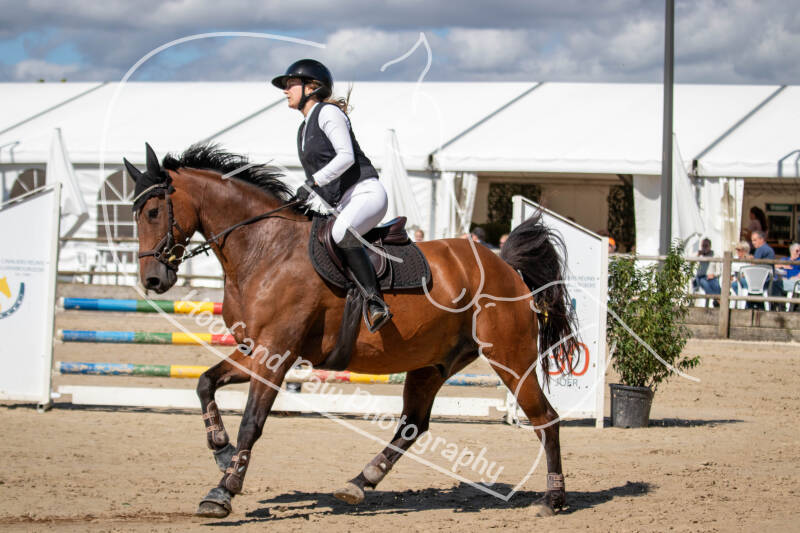 bouferterhaff-jumping-32-standard.jpg