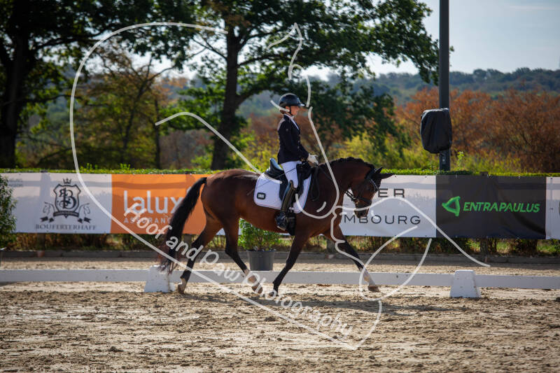 bouferterhaff-jumping-33-standard-2lgo0v.jpg
