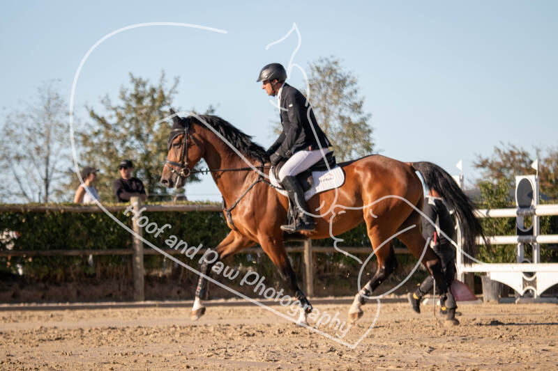 bouferterhaff-jumping-33-standard-44vstu.jpg