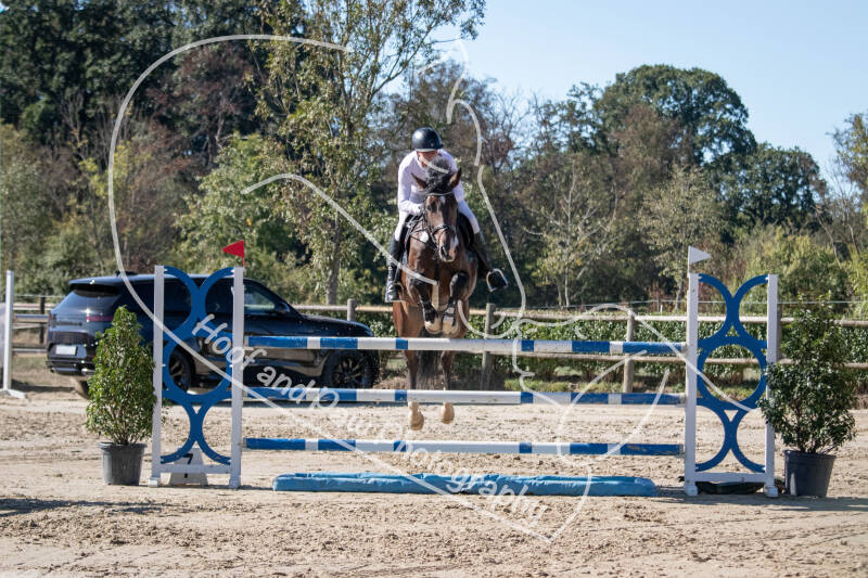bouferterhaff-jumping-33-standard-7q0bl2.jpg