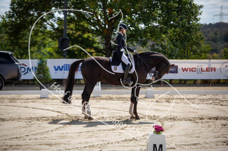 bouferterhaff-jumping-33-standard-9fmqsf.jpg