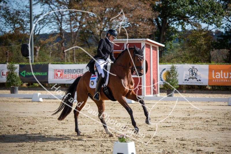 bouferterhaff-jumping-33-standard-ctsce1.jpg