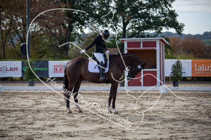 bouferterhaff-jumping-33-standard-fl3o2h.jpg