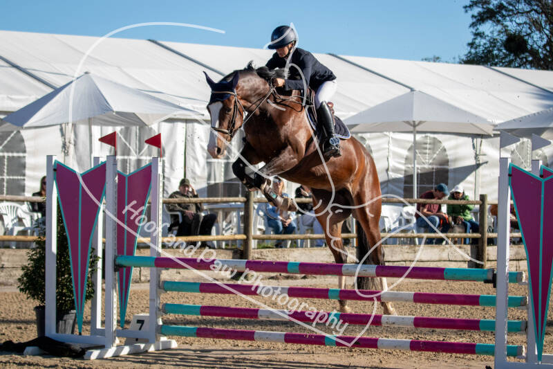 bouferterhaff-jumping-33-standard-fx4rjr.jpg