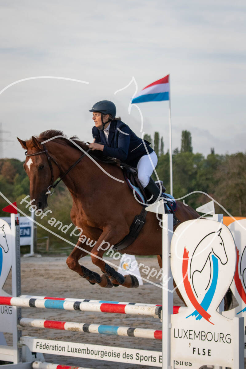 bouferterhaff-jumping-33-standard-lid17c.jpg