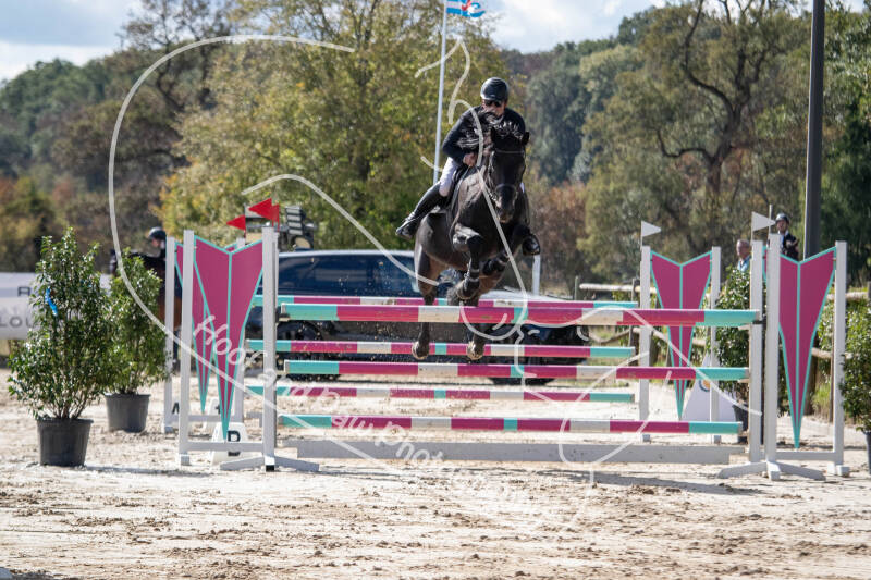 bouferterhaff-jumping-33-standard-n9drm6.jpg