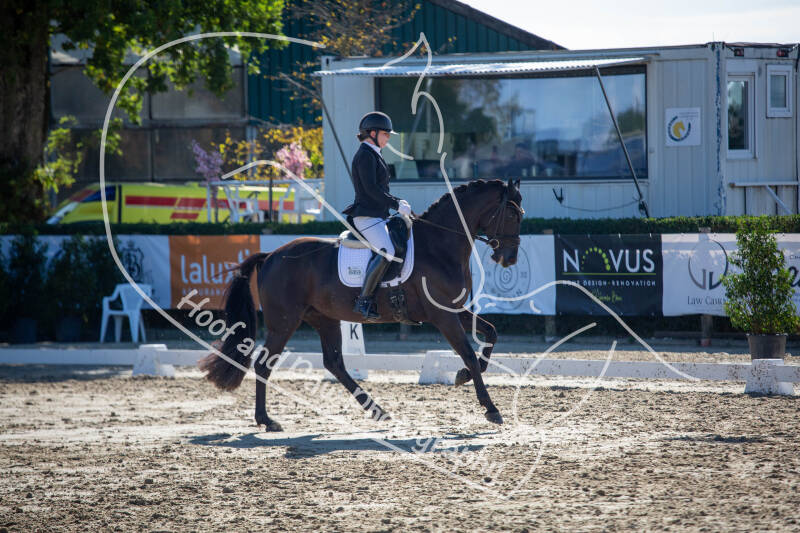 bouferterhaff-jumping-33-standard-tb346p.jpg