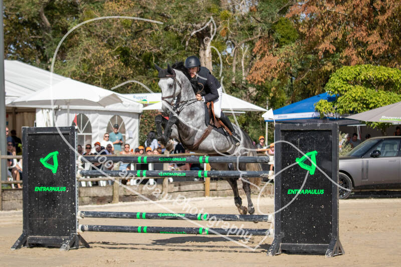 bouferterhaff-jumping-33-standard-uws73t.jpg