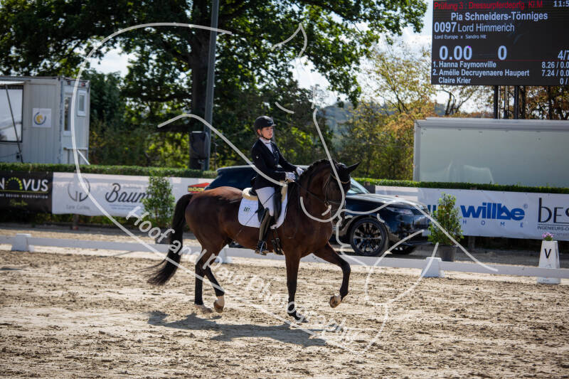 bouferterhaff-jumping-33-standard-zuqpc9.jpg