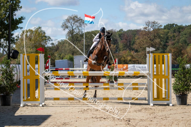 bouferterhaff-jumping-33-standard.jpg