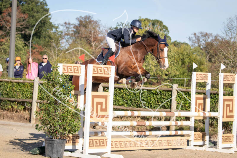 bouferterhaff-jumping-34-standard-3q0t2v.jpg