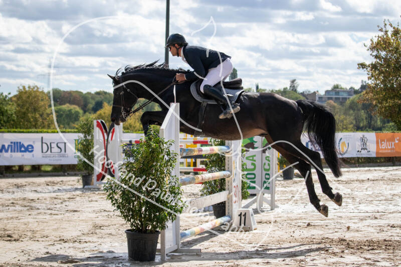 bouferterhaff-jumping-34-standard-6dxqre.jpg